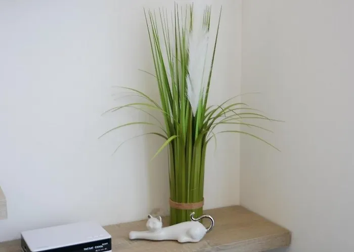 Apartament La Perle Oceane De St Gilles