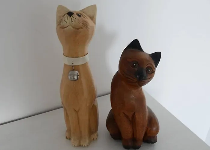 Apartament La Perle Oceane De St Gilles