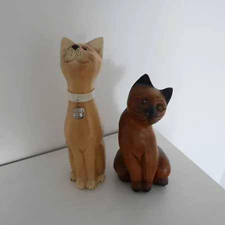 Διαμέρισμα La Perle Oceane De St Gilles